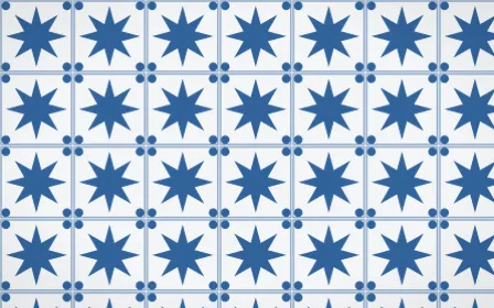 Ming Porcelain Star Tile — light blue and white azulejo background