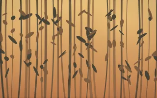 Autumn Glow Bamboo Forest — colourful orange, brown and grey bamboo forest background