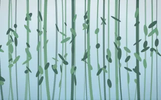 Clear Day Bamboo Forest — light blue and green bamboo forest background