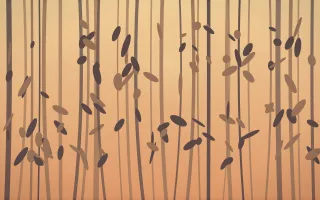 Golden Hour Bamboo Forest — colourful orange and pink bamboo forest background