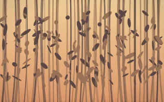 Golden Hour Bamboo Forest IX — colourful orange and pink bamboo forest background, variation IX