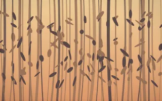 Golden Hour Bamboo Forest V — colourful orange and pink bamboo forest background, variation V