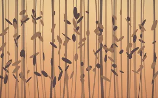 Golden Hour Bamboo Forest VI — colourful orange and pink bamboo forest background, variation VI