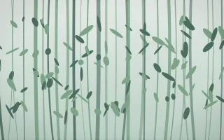 Spring Rain Bamboo Forest — light white and green bamboo forest background