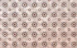 Budapest Rose Batik Blooms — light brown, blue and white batik background