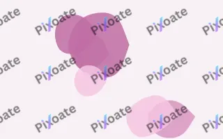 Berry Veil Forms — light pink and white blob background