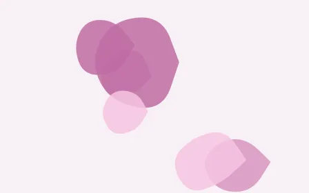 Berry Veil Forms — light pink and white blob background