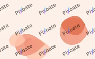Coraline Forms — light orange and white blob background