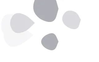Light Studio Blobs II — light white and grey blob background, variation II
