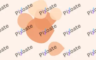 Peachette Forms — light orange and white blob background