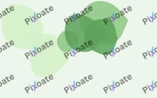 Verdana Forms III — light green and white blob background, variation III