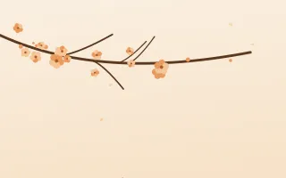 Apricot Branch — light orange and beige blossom background