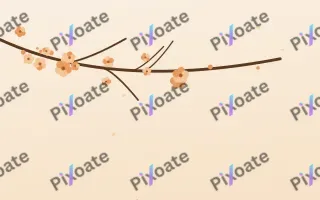 Apricot Branch — light orange and beige blossom background