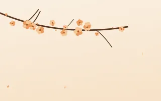 Apricot Branch II — light orange and beige blossom background, variation II