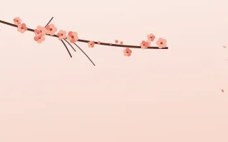 Coral Sakura — light orange, red and white blossom background