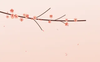 Coral Sakura III — light orange, red and white blossom background, variation III