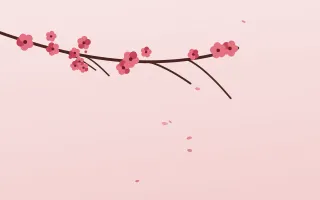 Crimson Bloom — light red and white blossom background