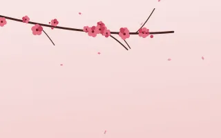 Crimson Bloom III — light red and white blossom background, variation III