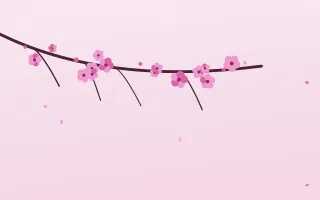 Fuchsia Bloom — light pink and white blossom background