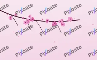 Fuchsia Bloom — light pink and white blossom background