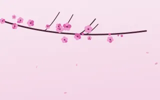 Fuchsia Bloom II — light pink and white blossom background, variation II