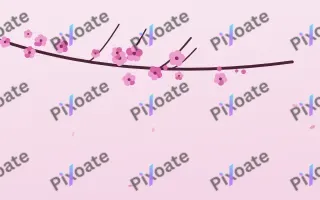 Fuchsia Bloom II — light pink and white blossom background, variation II