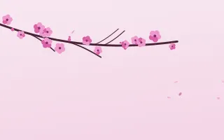 Fuchsia Bloom III — light pink and white blossom background, variation III