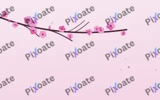 Fuchsia Bloom III — light pink and white blossom background, variation III