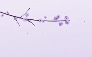Lilac Blossom — light purple and white blossom background