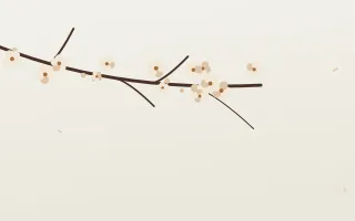 Magnolia Cream II — light beige and white blossom background, variation II