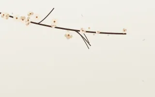 Magnolia Cream III — light beige and white blossom background, variation III