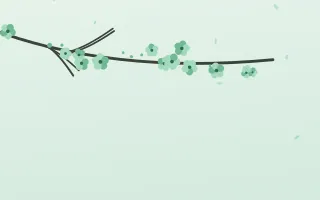Mint Blossom — light green and white blossom background