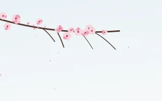 Morning Sakura — light red, pink and white blossom background