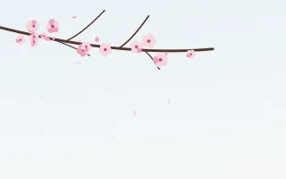 Morning Sakura II — light red, pink and white blossom background, variation II