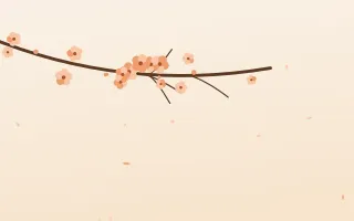 Peach Blossom — light orange and white blossom background