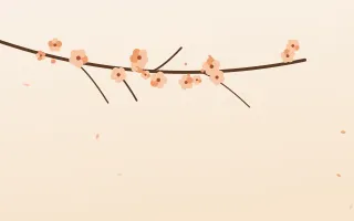 Peach Blossom II — light orange and white blossom background, variation II