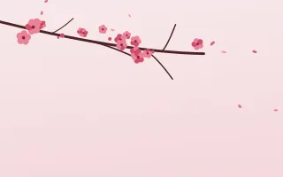Ruby Branch — light red and white blossom background