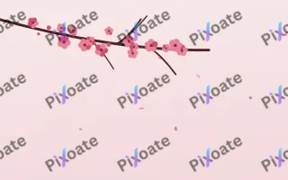 Ruby Branch II — light red and white blossom background, variation II