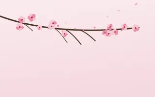Sakura Dawn — light red, pink and white blossom background