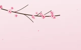 Sakura Dawn II Sakura Dawn II — light red, pink and white blossom background, variation II