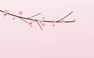 Sakura Dawn III Sakura Dawn III — light red, pink and white blossom background, variation III