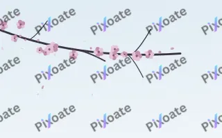 Sky Plum Branch II — light pink and blue blossom background, variation II