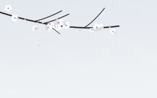 Snow Blossom — light white blossom background
