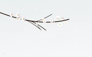 White Plum III White Plum III — light white blossom background, variation III