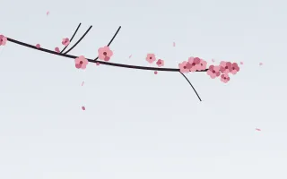 Winter Plum — light red and white blossom background
