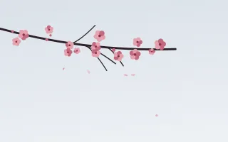 Winter Plum III Winter Plum III — light red and white blossom background, variation III