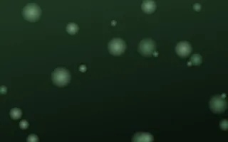 Moss Hollow Lanterns — dark green and black bokeh background