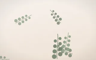 Eucalyptus Dawn — light green and white botanical background