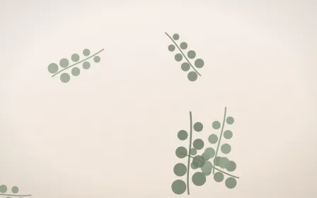 Eucalyptus Dawn — light green and white botanical background