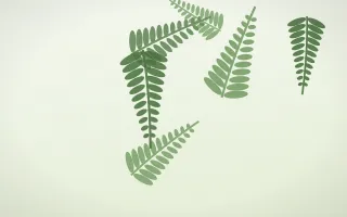 Fern Meadow — light green and white botanical background